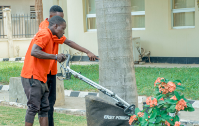 Gardeners Collaborating As They Work Together